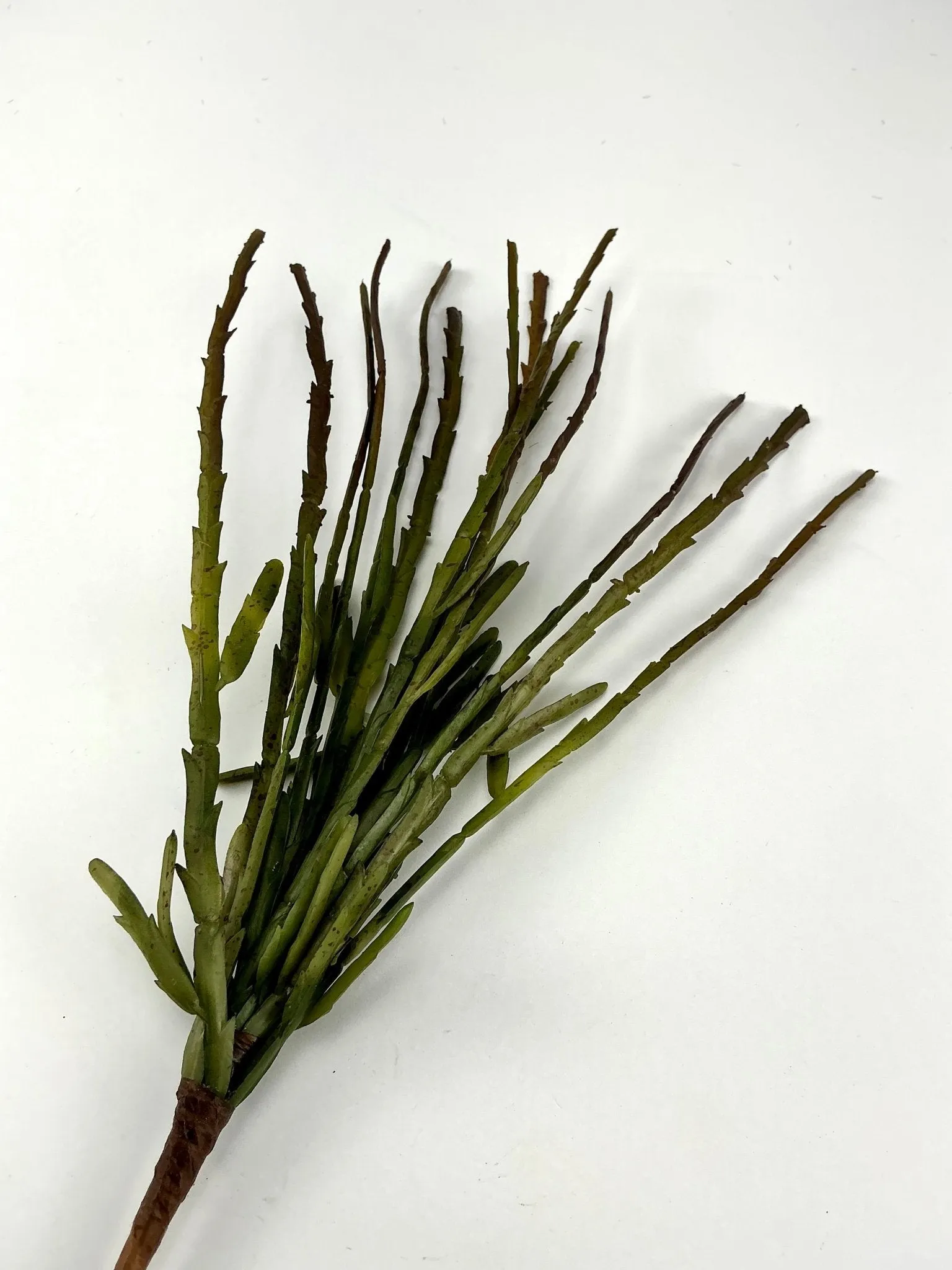 Artificial cactus, faux succulent pick