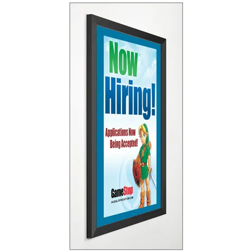 Designer Euro-Style 8.5x11 Slide-in Frames for Posters, Signs, Menus, Photos, Documents   2" Wide Matboard Border