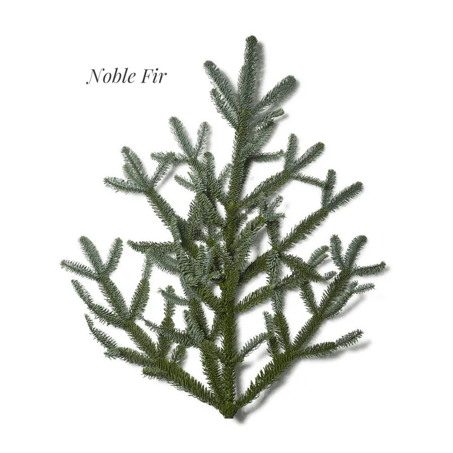 Real Noble Fir Holiday Wreath, 24"